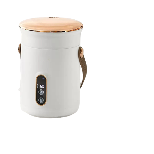 500W Electric Kettle Stew Pot Slow Cooker Portable Cooking Pot Stewing Porridge Soup with Appointment For Home Travel 600ml_voghion.com