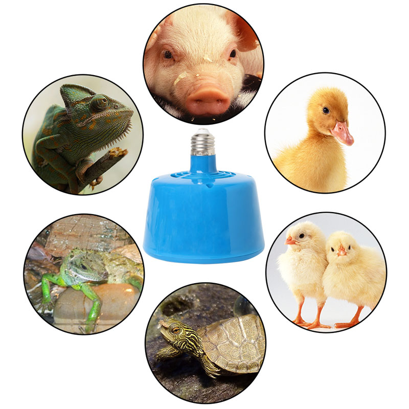 New Heating Fan Lamp 100/200/300W Adjustable Heating Lamp Chickens Pet Piglet Temperature Controller for Incubator Heater Tool_voghion.com